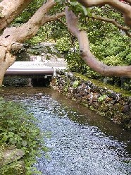 20030708s006.jpg
