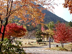 mikamipark.jpg
