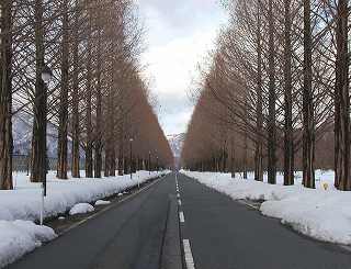 20051229kosei(5).jpg