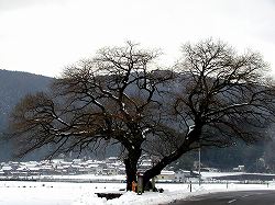 2003.12.22kohoku(17).jpg