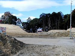 20061203yanamune(2).jpg