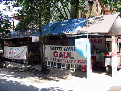 Gaul