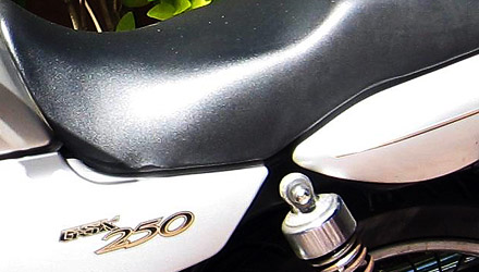 GSX250