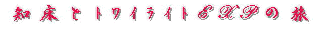 mƃgCCgGLXvX̗