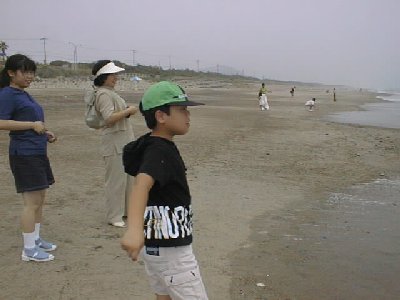 Hl