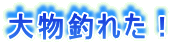 啨ނꂽI